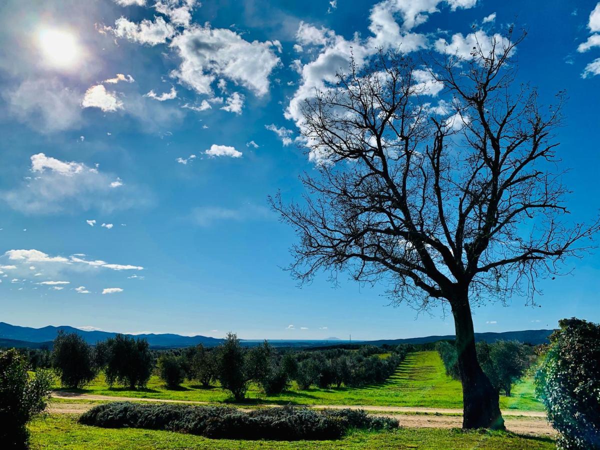 Вилла Tenuta Agricola Fraschiera Масса-Мариттима Экстерьер фото