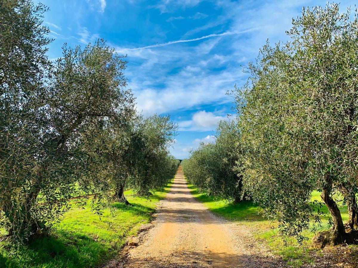 Вилла Tenuta Agricola Fraschiera Масса-Мариттима Экстерьер фото